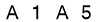 salt-A5193E75