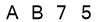 salt-67733BAD