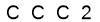 salt-55FDC5D4