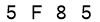 salt-3CF1E1A9