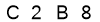 salt-2174A8B3