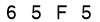 salt-D50E4225