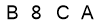 salt-8C1156F4