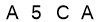 salt-426E0006