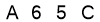 salt-847309A8