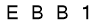 salt-13D92056