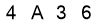 salt-193E6928