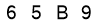 salt-8D58584B